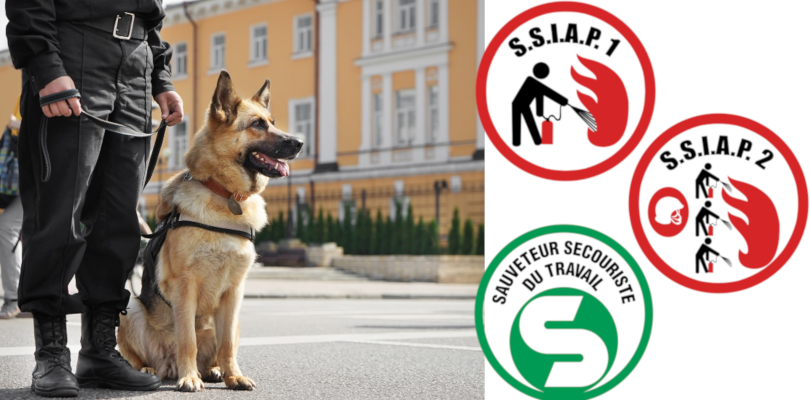 formations ssiap1, ssiap2, sst, cynophile